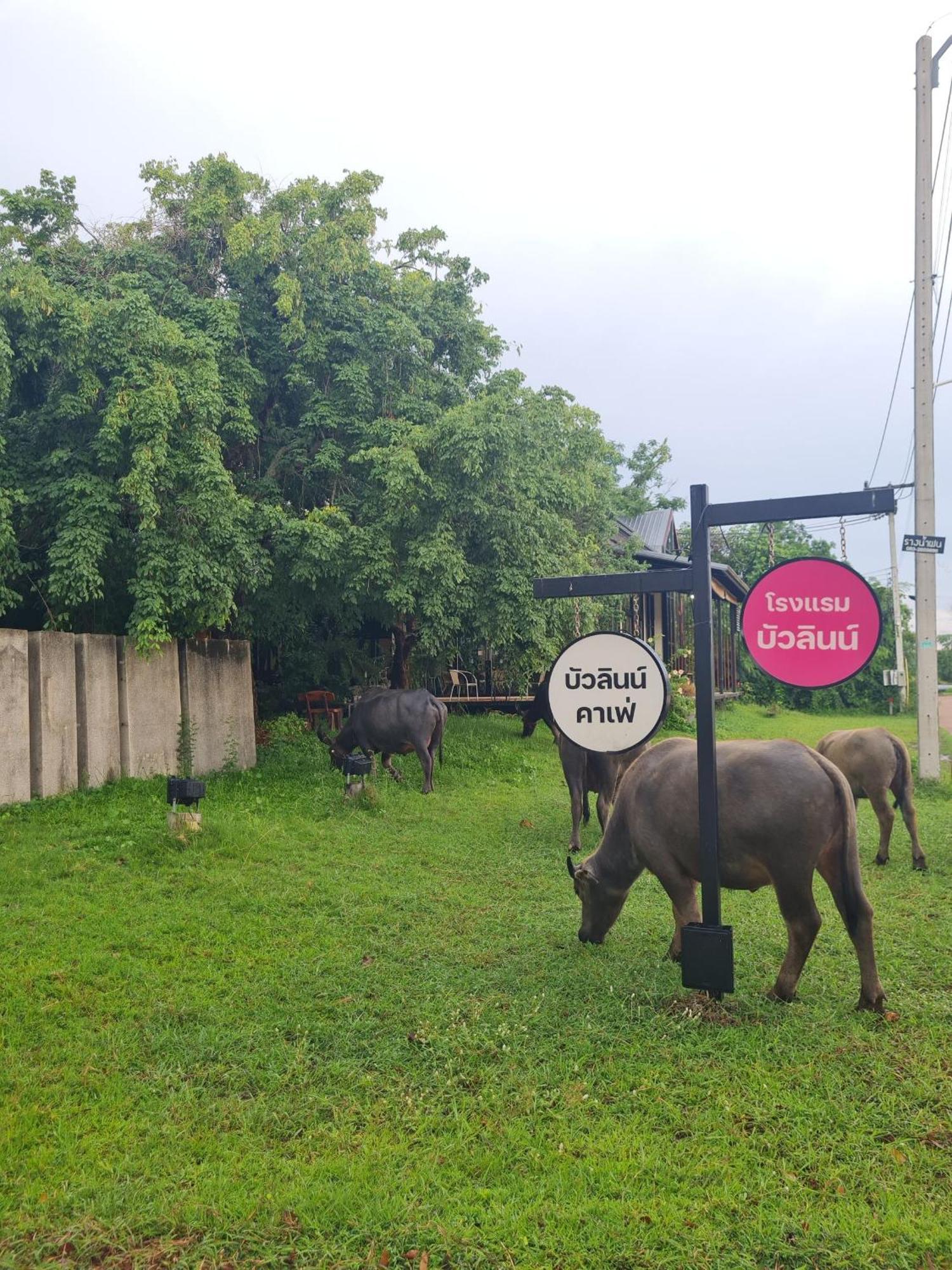 Bualinn Resort Nong Khai Exteriér fotografie